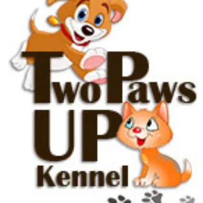 Two Paws Up Kennels