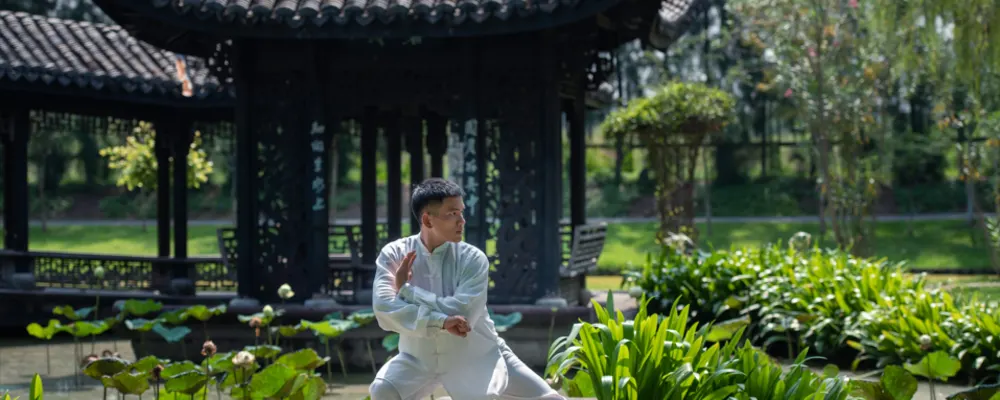 Palmyra Kung Fu & Tai Chi