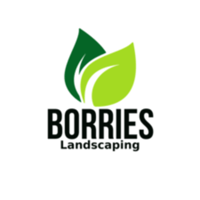 Borries Landscaping LLC