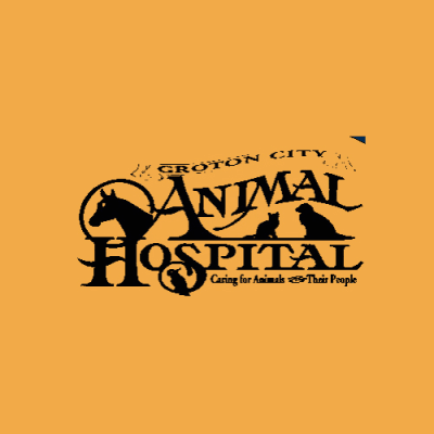 Groton City Animal Hospital