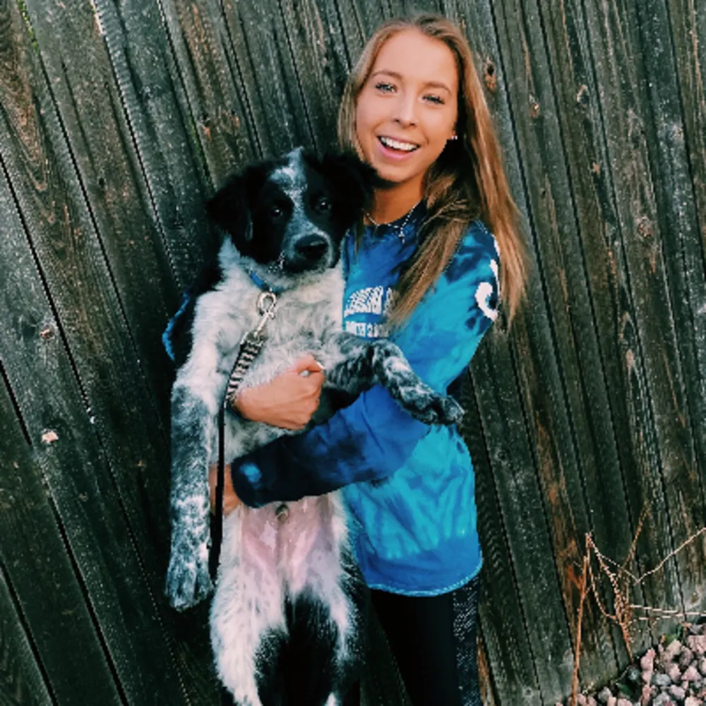 Babysitter/ Dog Sitter