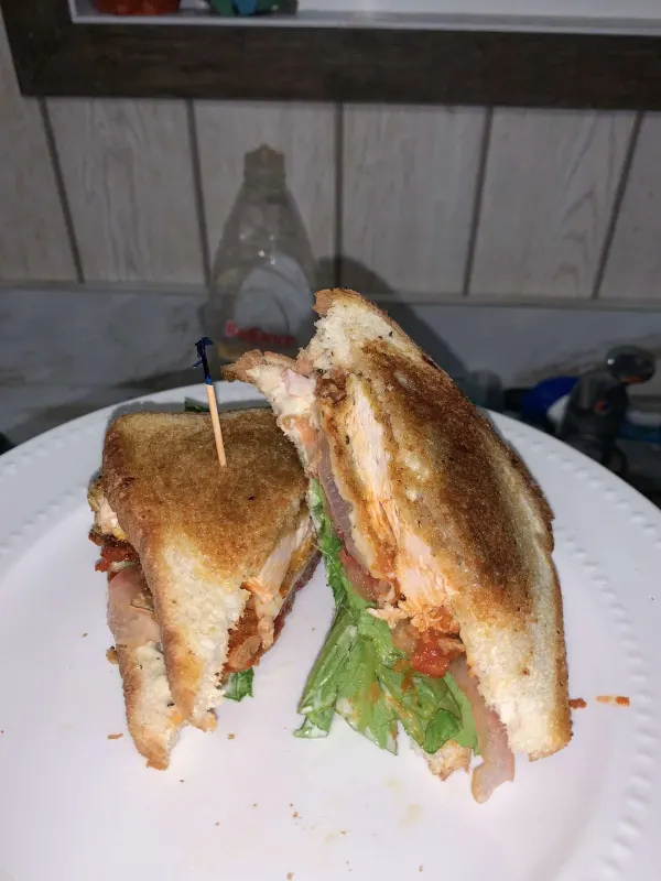 Chicken parmsean toasted sandwhich