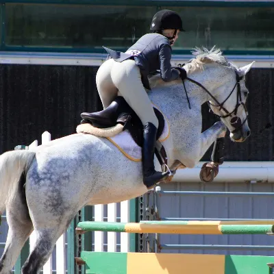 Phoenix Equestrian Center