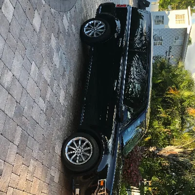 Black Diamond Transfers