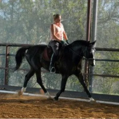Adventures In Riding With Miss Julie