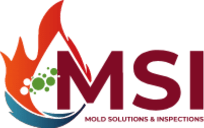 Mold Solutions & Inspections