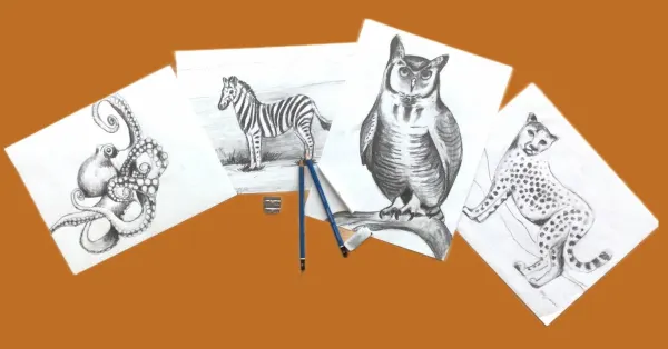 Drawing Animals