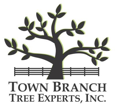 Town Branch Tree Experts Inc