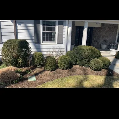 Joel Castillo Landscaping