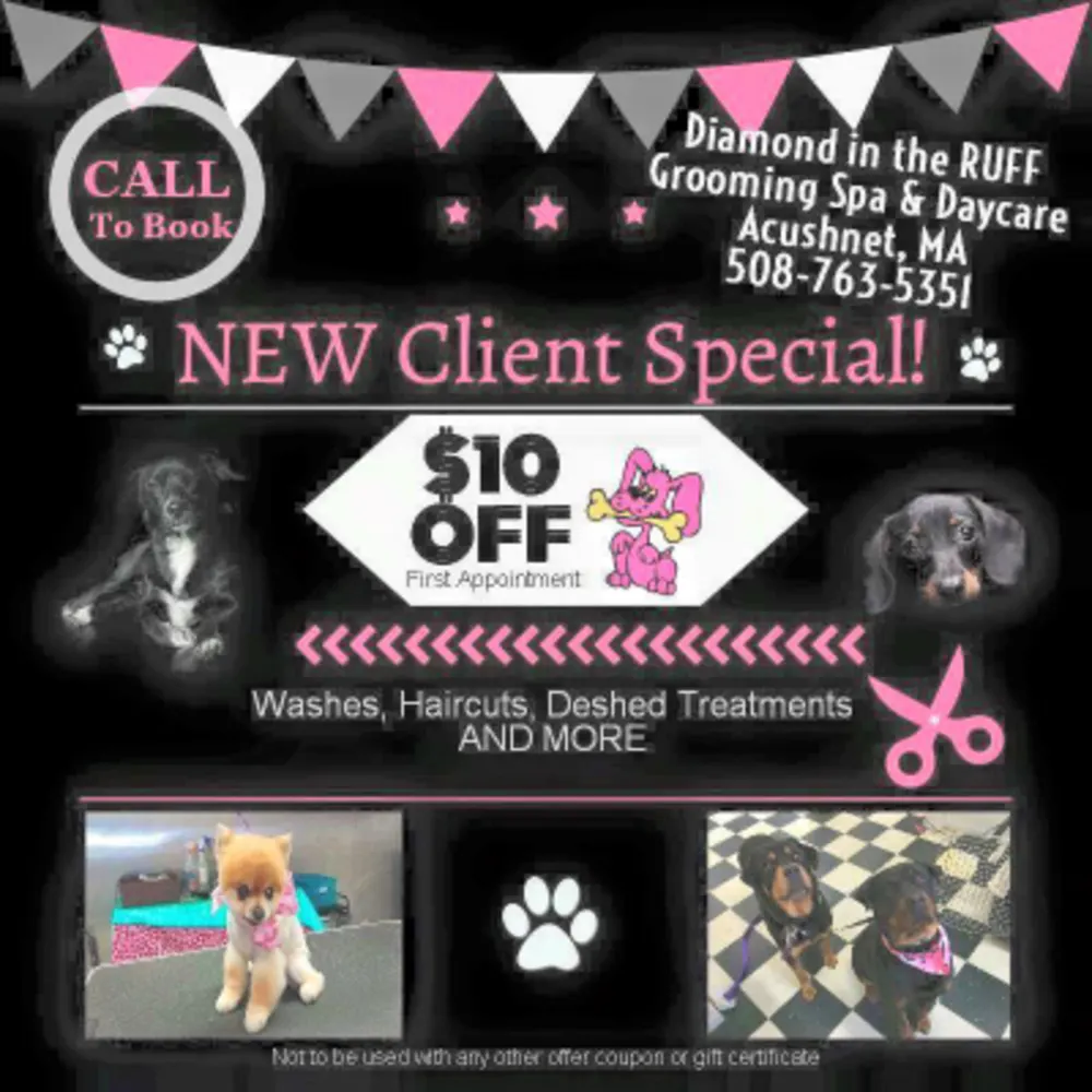 Diamond In The Ruff Grooming & Spa