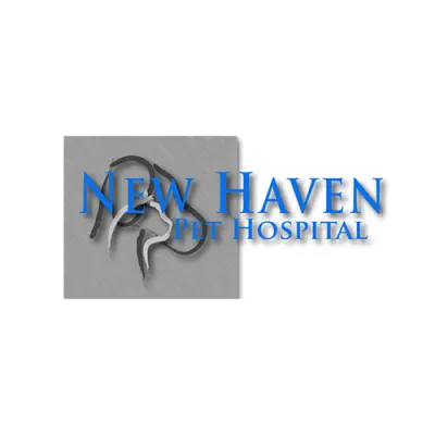 New Haven Pet Hospital