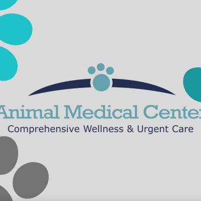 Animal Medical Center