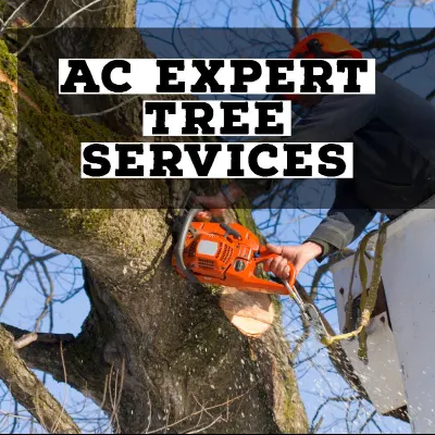 AC Expert Tree