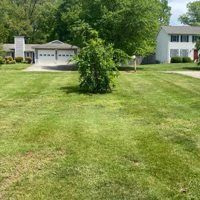 S.D Landscaping