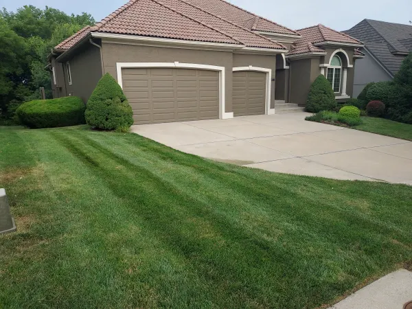 Lawn