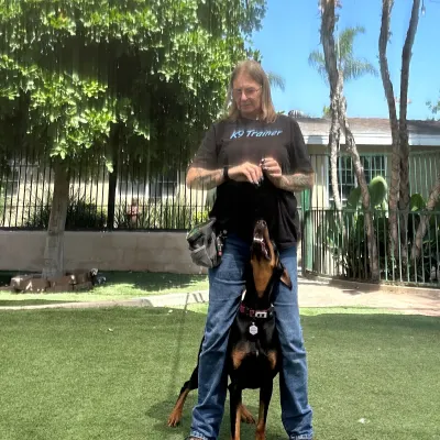 Debbies Dog Training