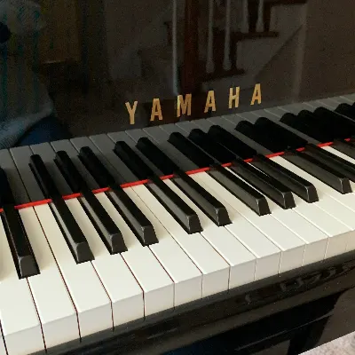 Primrose Piano Instruction