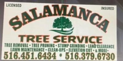 Salamanca Tree And Landscaping Corp