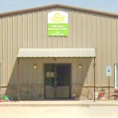 Little Lions Learning Center