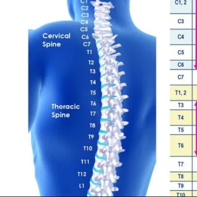 Tukwila Family Chiropractic