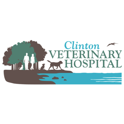 Clinton Veterinary Hospital