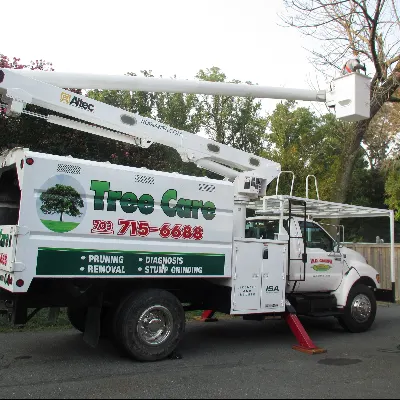 W D GIAMPA LAWNS & LANDSCAPE INC
