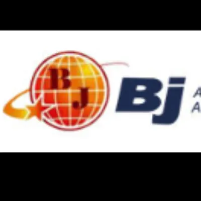 BJ Accounting And Tax Services, Inc.