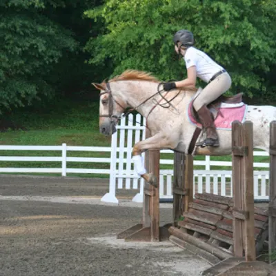 Horseback Riding With Maria Alexander, LLC