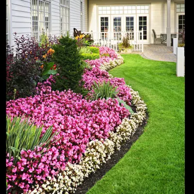 Davis Exteriors 
