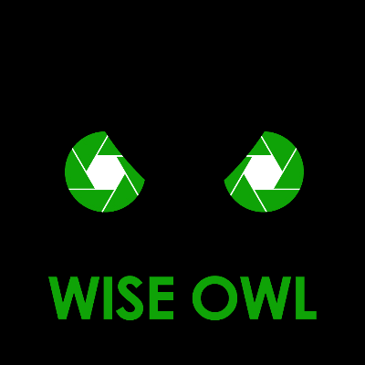 Wise Owl Media Group