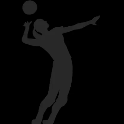 The Coach Soly Volleyball Academy