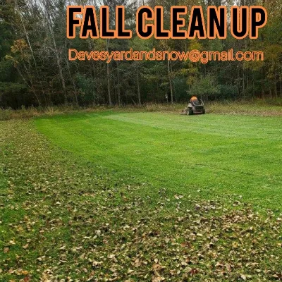 Dave's Landscaping And Snow Removal