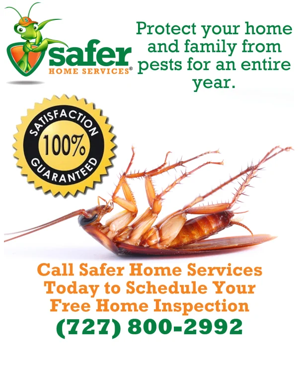 Safer Home Services