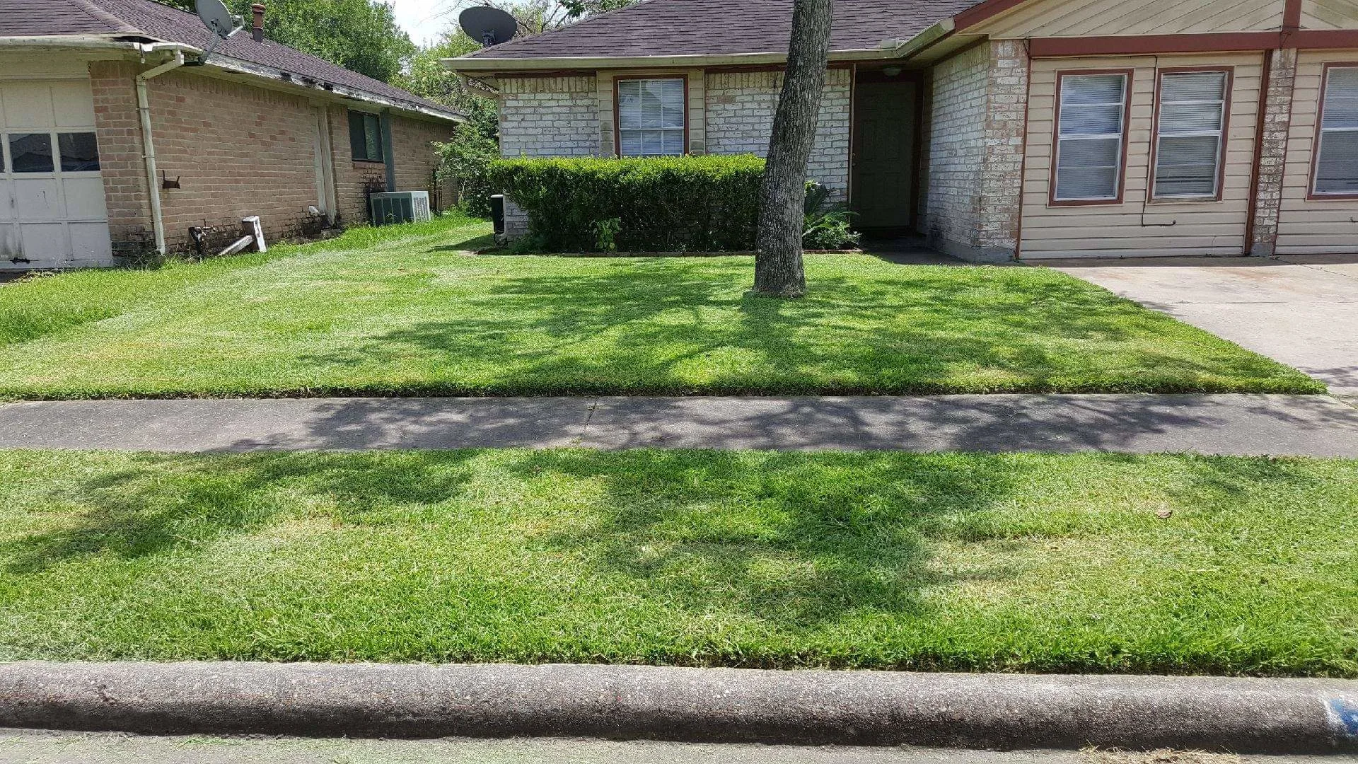 Best Cut Lawn Service And More in Pasadena, TX // HomeGuide
