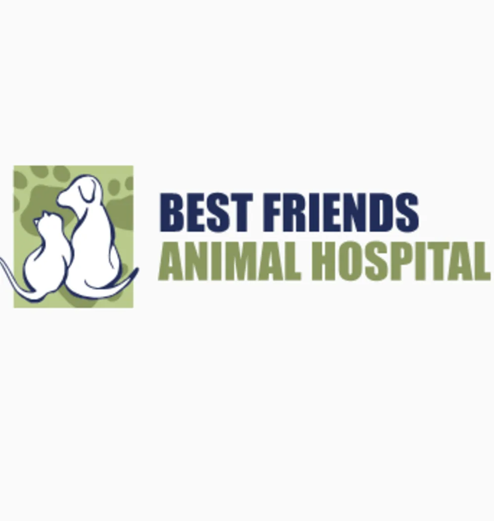 Best Friends Animal Hospital