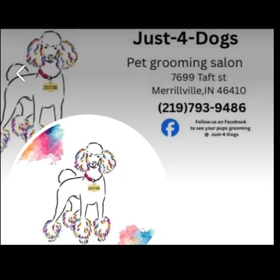 Just 4 Dogs