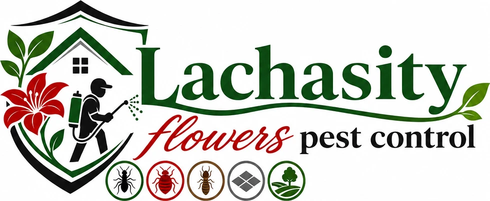 Lachasity flowers pest control 