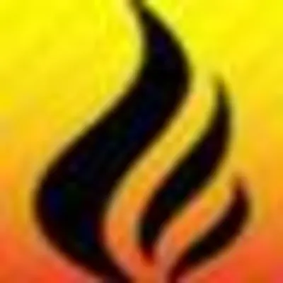 The Fireplace & Chimney Service