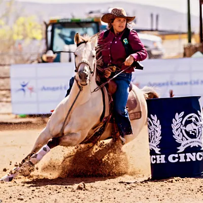 Elite Equine Training LLC