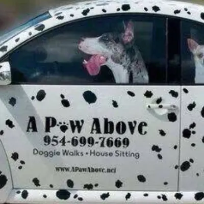 A Paw Above