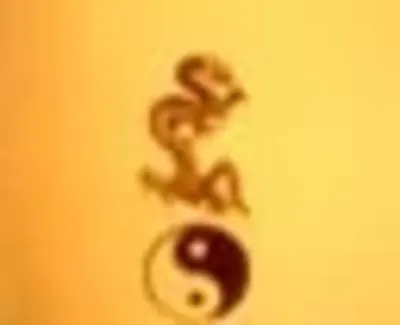 Black Dragon Dojo