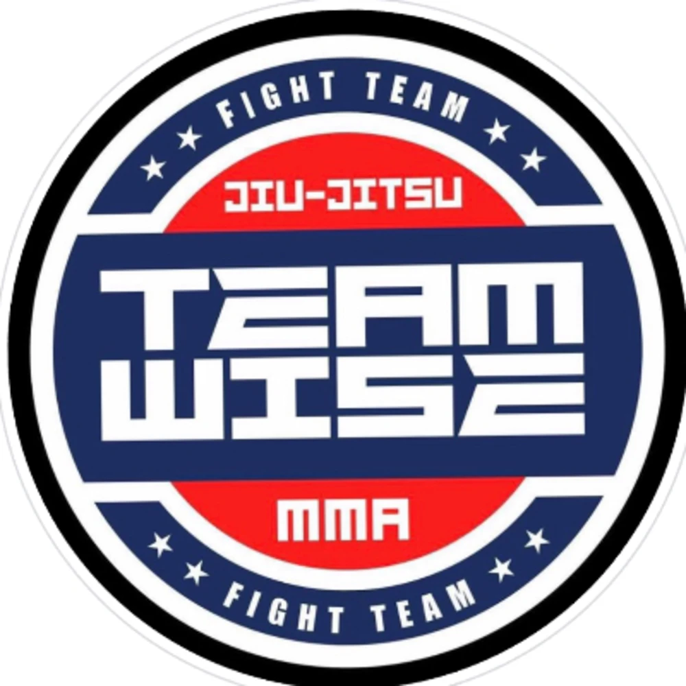 Team Wise Training Center