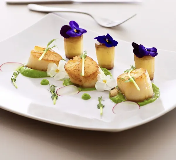 Scallops