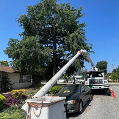 Charles Gilbert Tree Service, Inc.