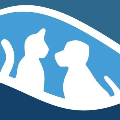 Animal Hospital Of Wilkes