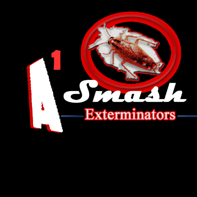 A1 Smash Exterminators