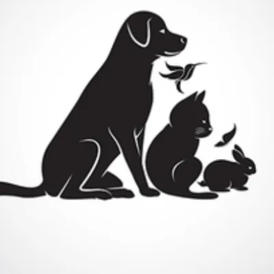Any Animal Sitter