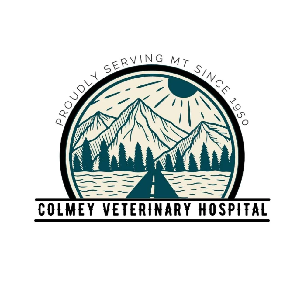 Colmey Veterinary Hospital