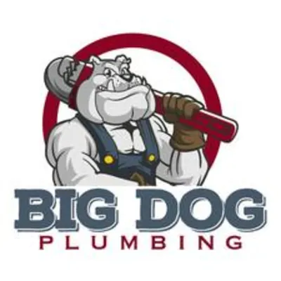 Big Dog Plumbing LLC 