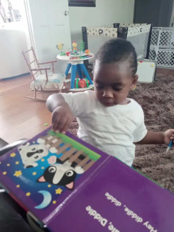 Early reading, Phonological Awareness. Oral Language. Alphabet Knowledge. Print Awareness.